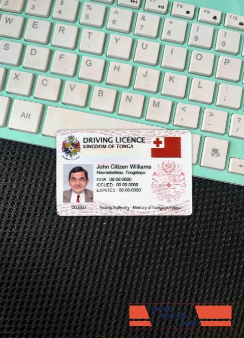 Tonga DL  photolook FRONT PSD template